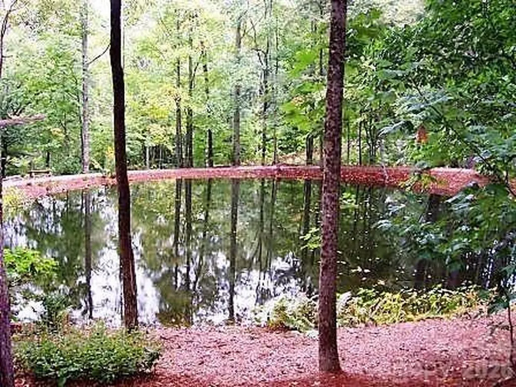 103 Southshore Drive Tuckasegee NC 28783