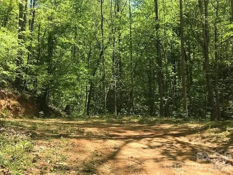 00 Charleston Harbor Drive Saluda NC 28773