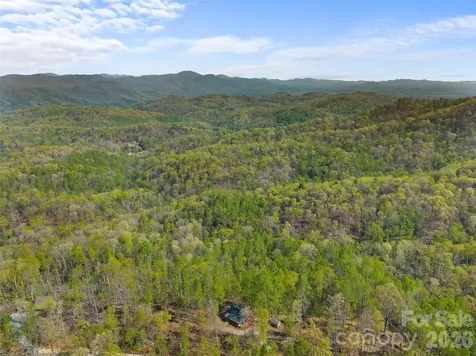 178 Tablerock Drive Saluda NC 28773