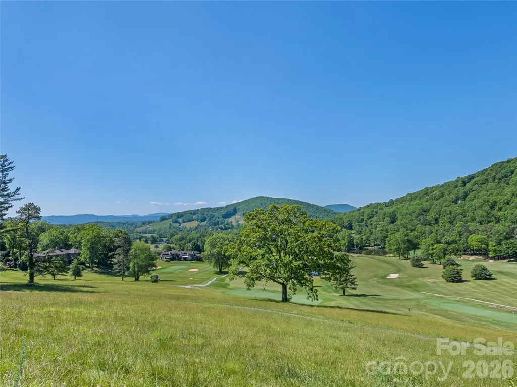 5 Split Creek Court Mills River NC 28759