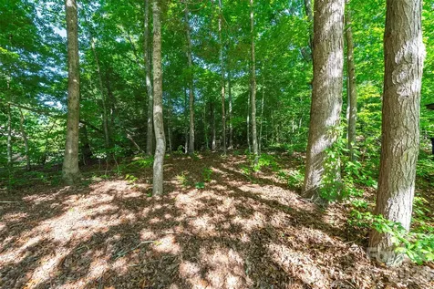 34 Goldmont Street Black Mountain NC 28711
