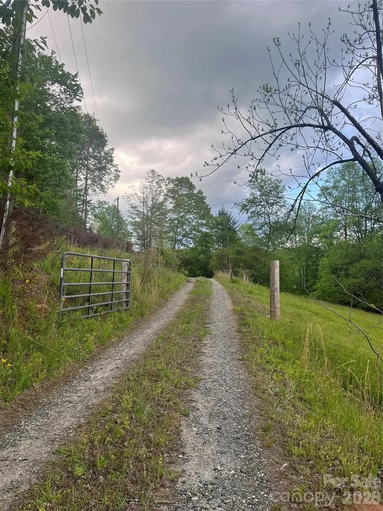 1239 W Mcguinn Road Mill Spring NC 28756