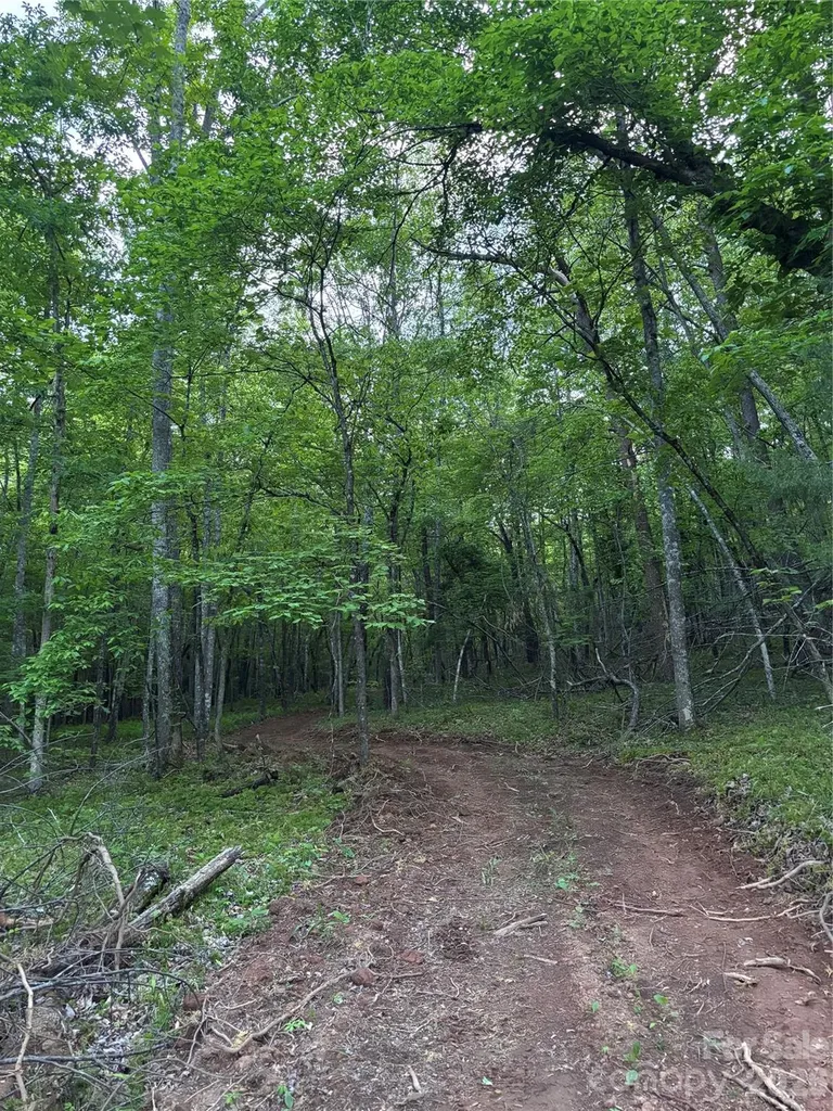 1239 W Mcguinn Road Mill Spring NC 28756