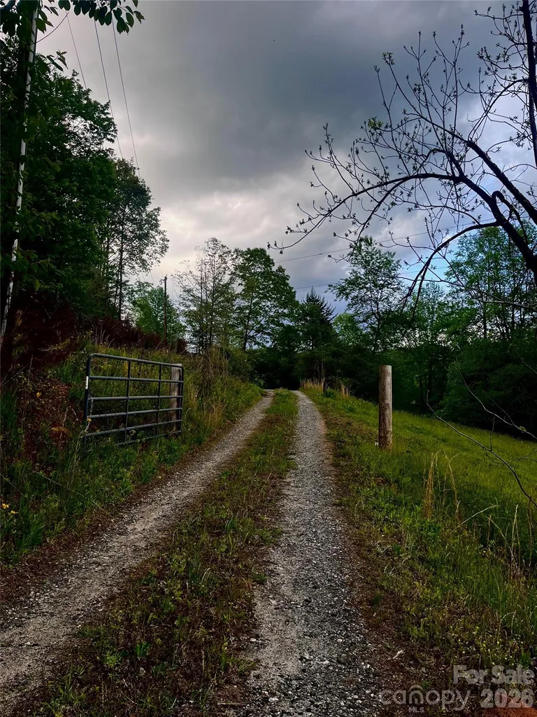 1239 W Mcguinn Road Mill Spring NC 28756