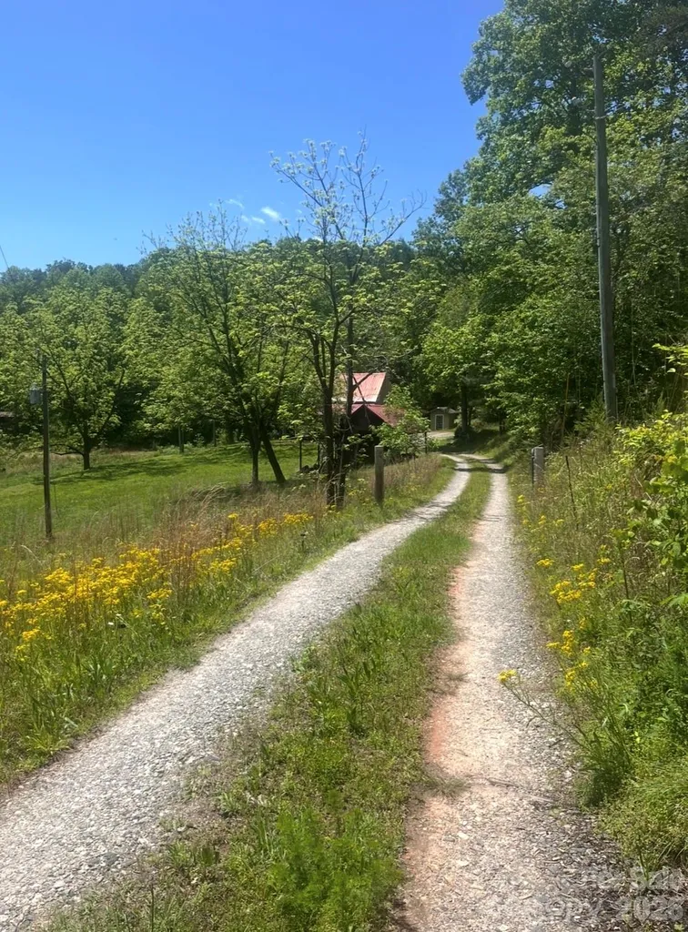 1239 W Mcguinn Road Mill Spring NC 28756