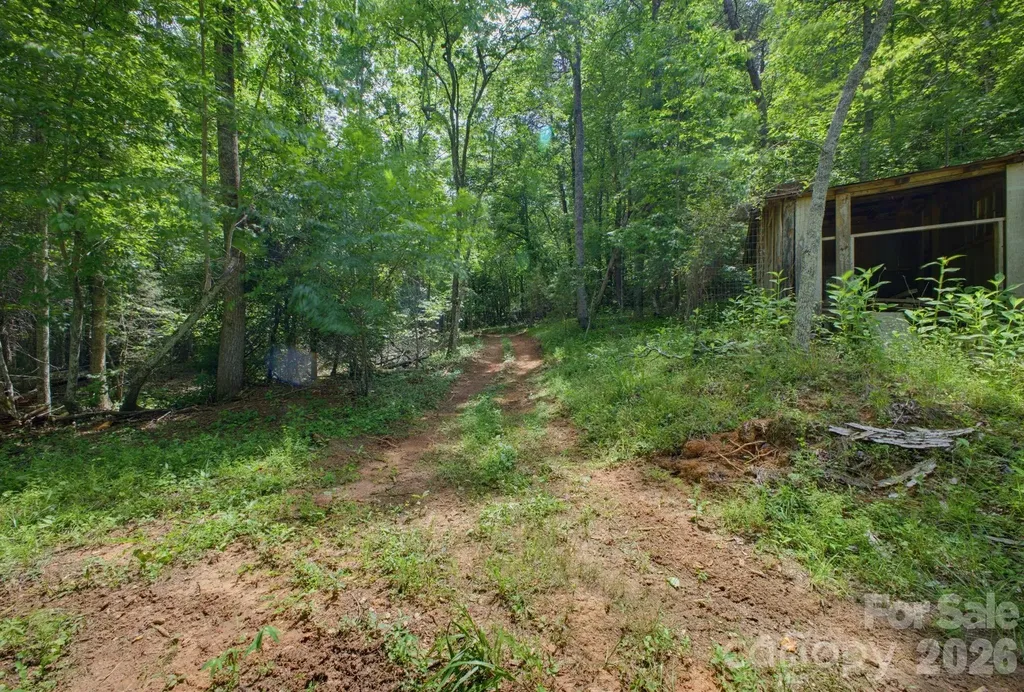 1239 W Mcguinn Road Mill Spring NC 28756