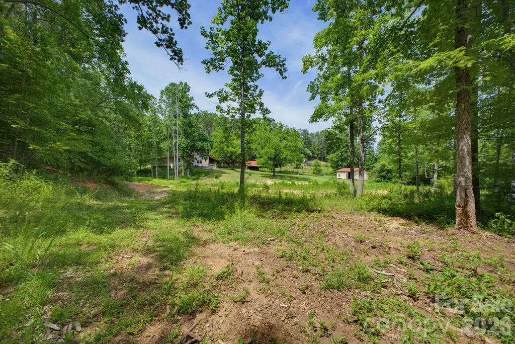 1239 W Mcguinn Road Mill Spring NC 28756