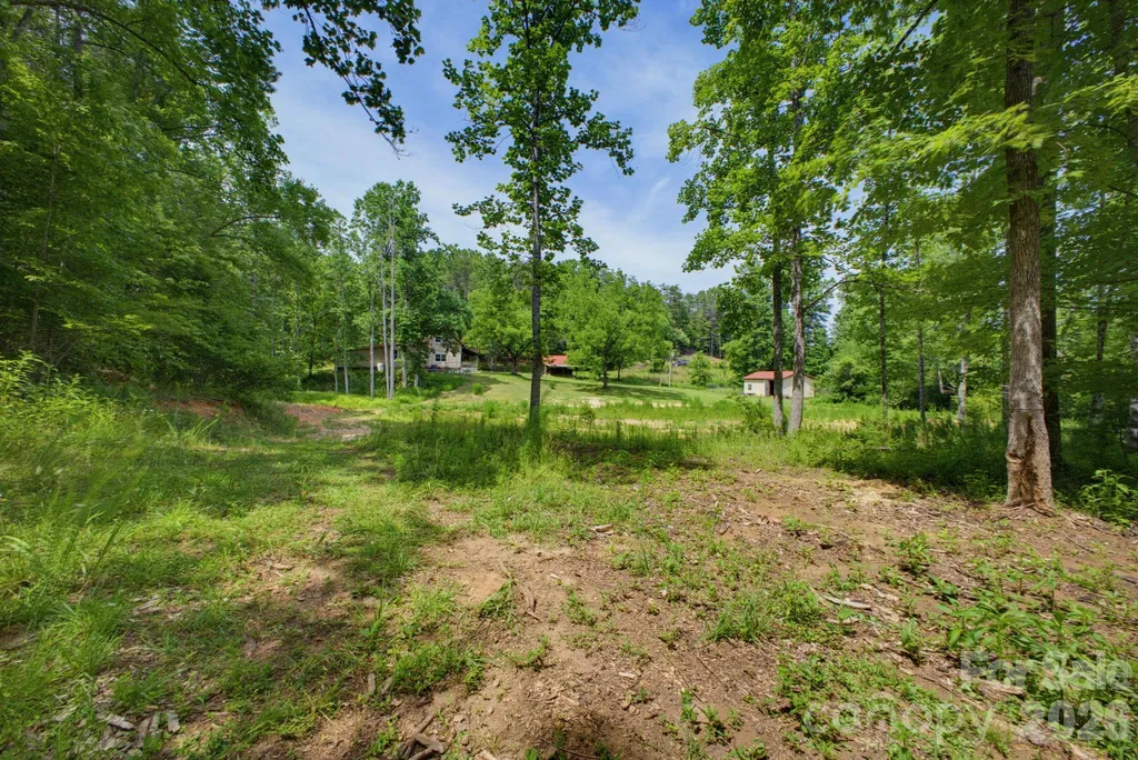 1239 W Mcguinn Road Mill Spring NC 28756