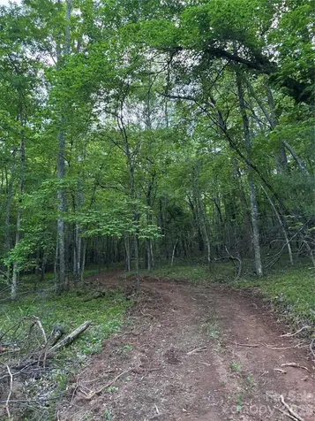 1239 W Mcguinn Road Mill Spring NC 28756