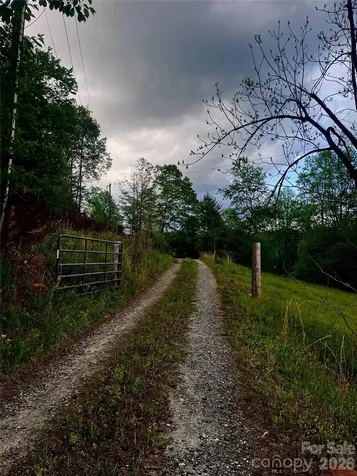 1239 W Mcguinn Road Mill Spring NC 28756