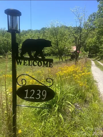 1239 W Mcguinn Road Mill Spring NC 28756