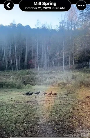 1239 W Mcguinn Road Mill Spring NC 28756