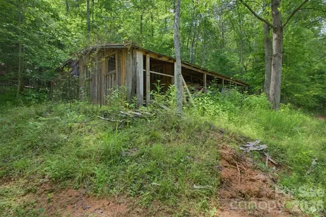 1239 W Mcguinn Road Mill Spring NC 28756