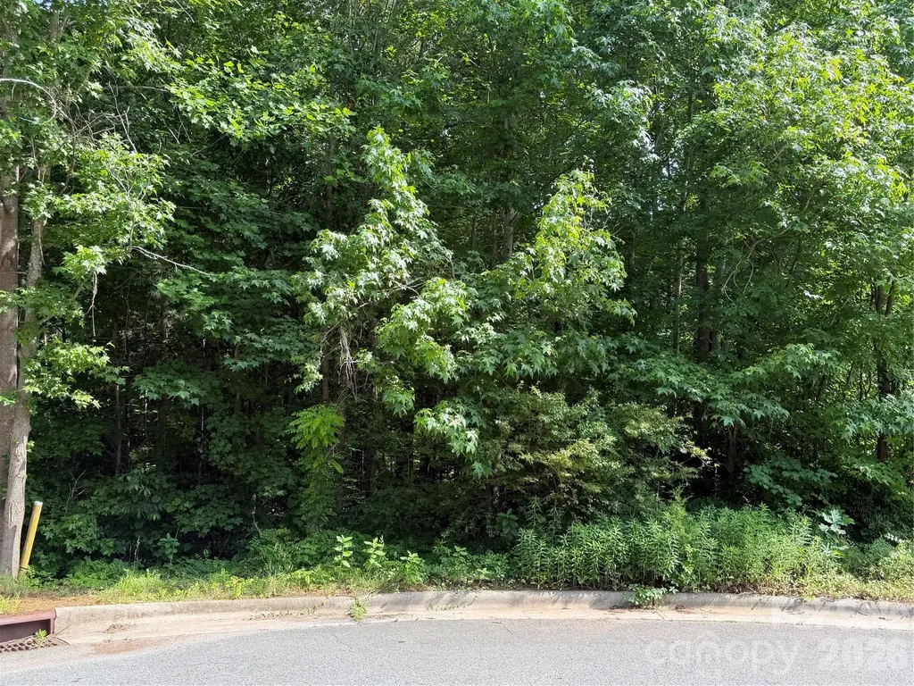 119 Colony Hill Lane Mooresville NC 28115