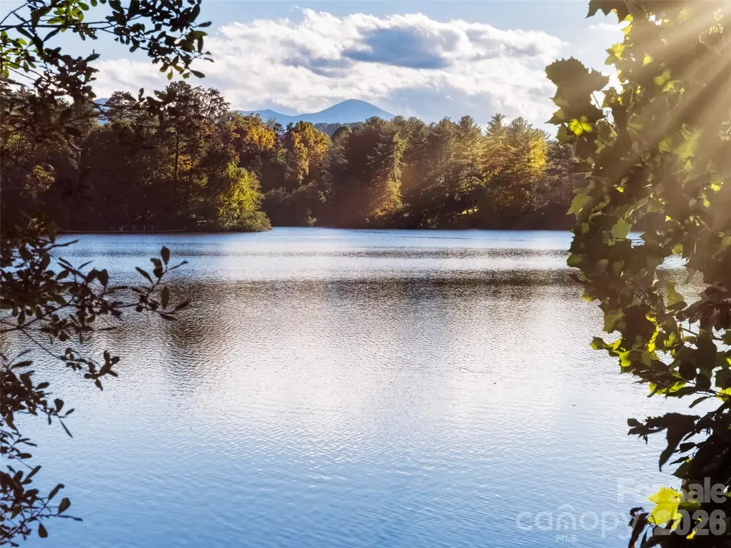 26 Black Horse Run Biltmore Lake NC 28715