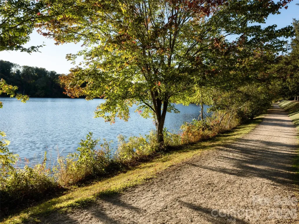 26 Black Horse Run Biltmore Lake NC 28715