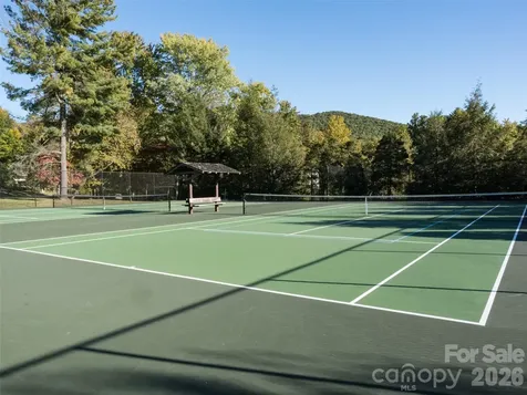 26 Black Horse Run Biltmore Lake NC 28715