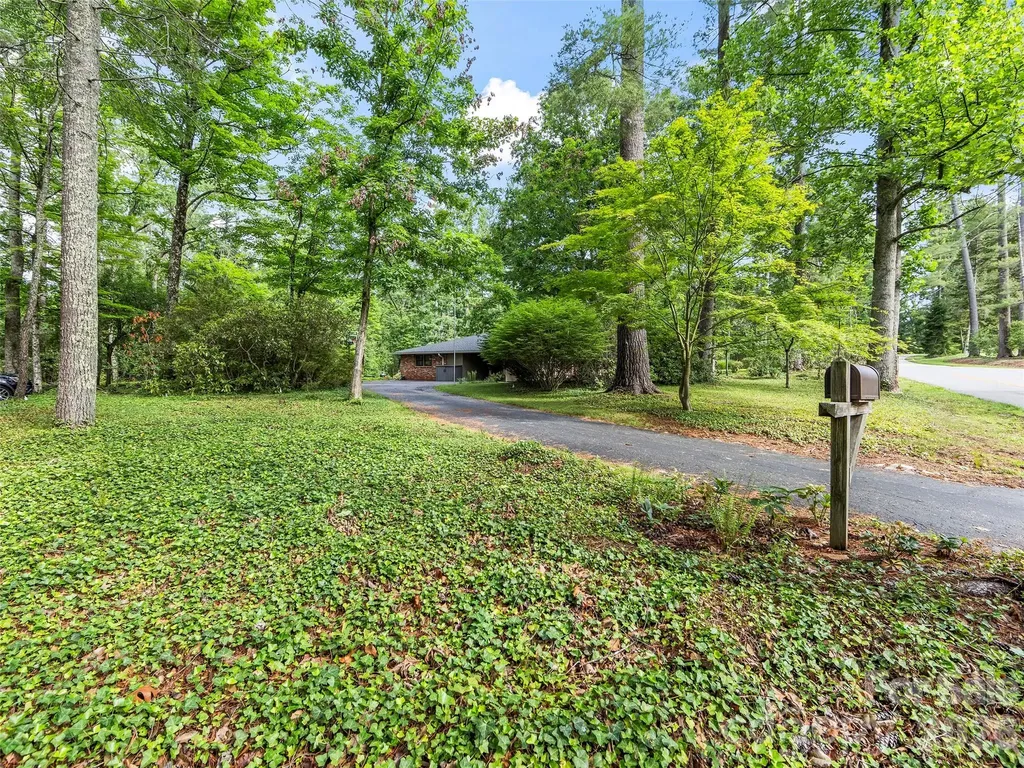 423 Vanderbilt Road Asheville NC 28803