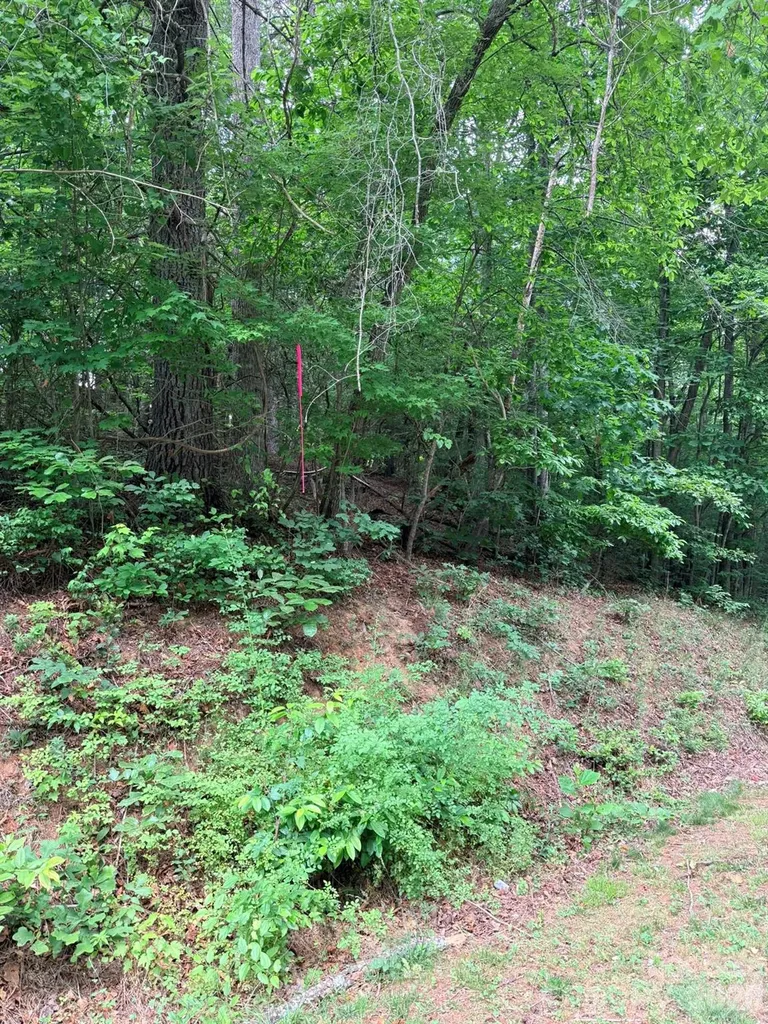 Tbd N Marley Ford Road Ferguson NC 28624