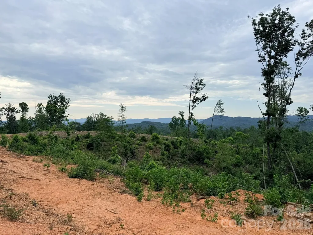 Tbd N Marley Ford Road Ferguson NC 28624