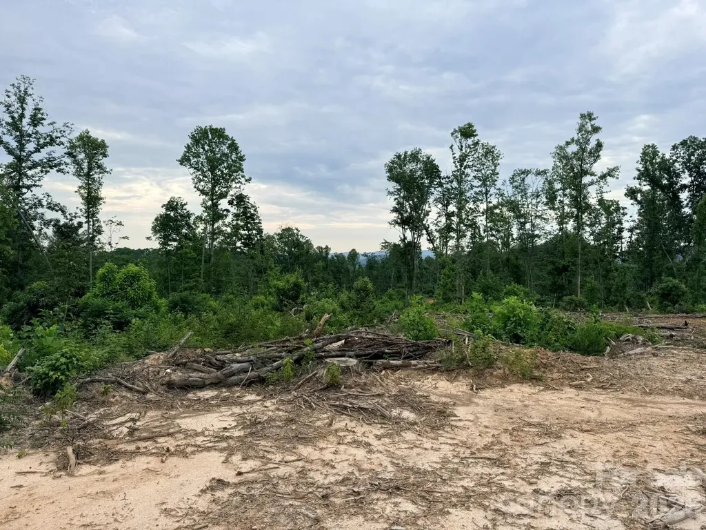 Tbd N Marley Ford Road Ferguson NC 28624