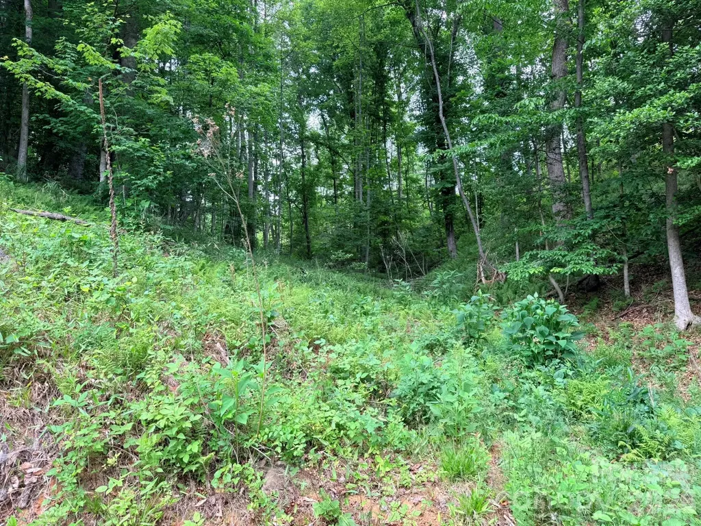 Tbd N Marley Ford Road Ferguson NC 28624