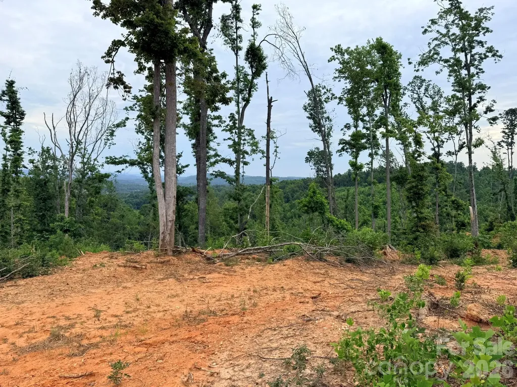 Tbd N Marley Ford Road Ferguson NC 28624