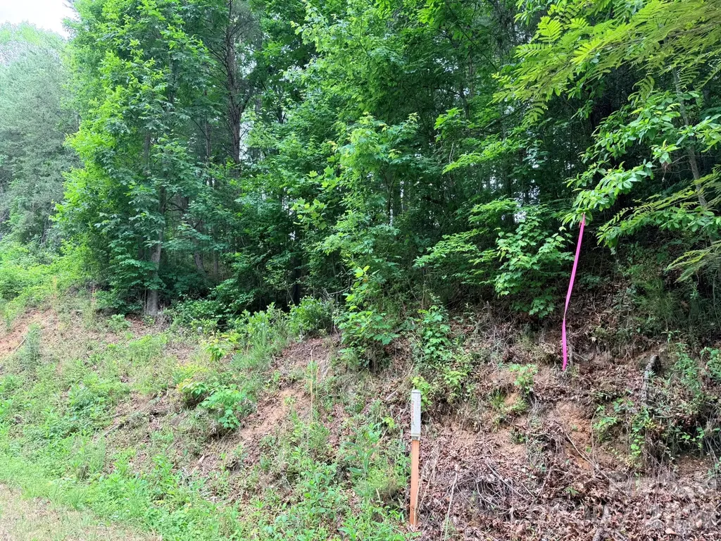 Tbd N Marley Ford Road Ferguson NC 28624