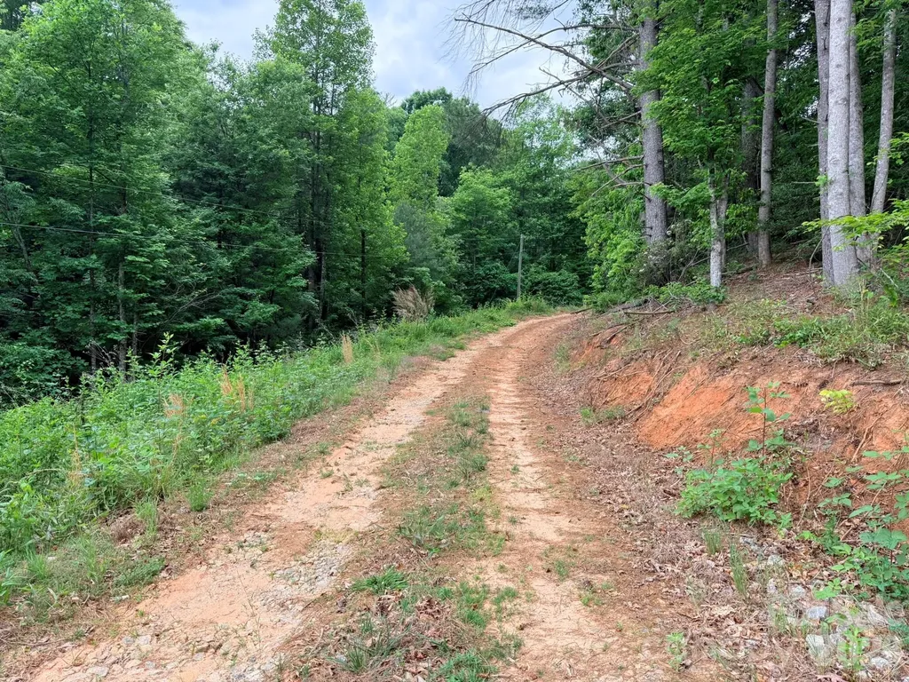 Tbd N Marley Ford Road Ferguson NC 28624