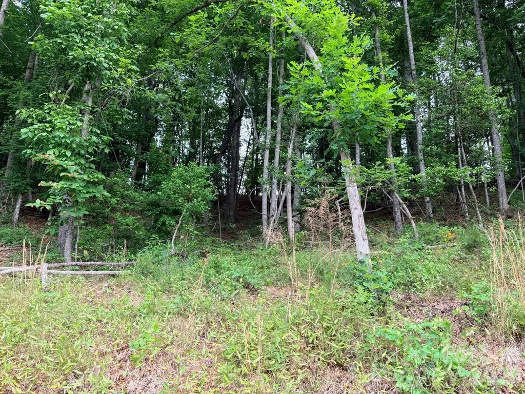 Tbd N Marley Ford Road Ferguson NC 28624