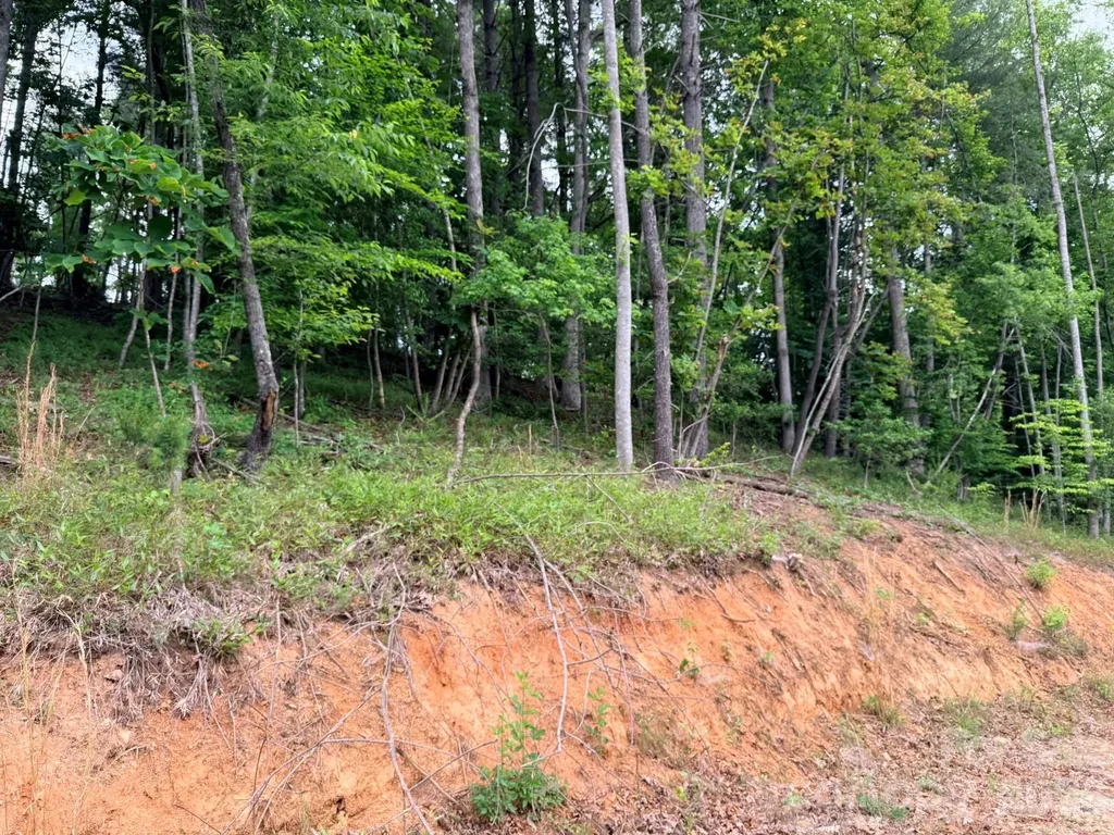 Tbd N Marley Ford Road Ferguson NC 28624