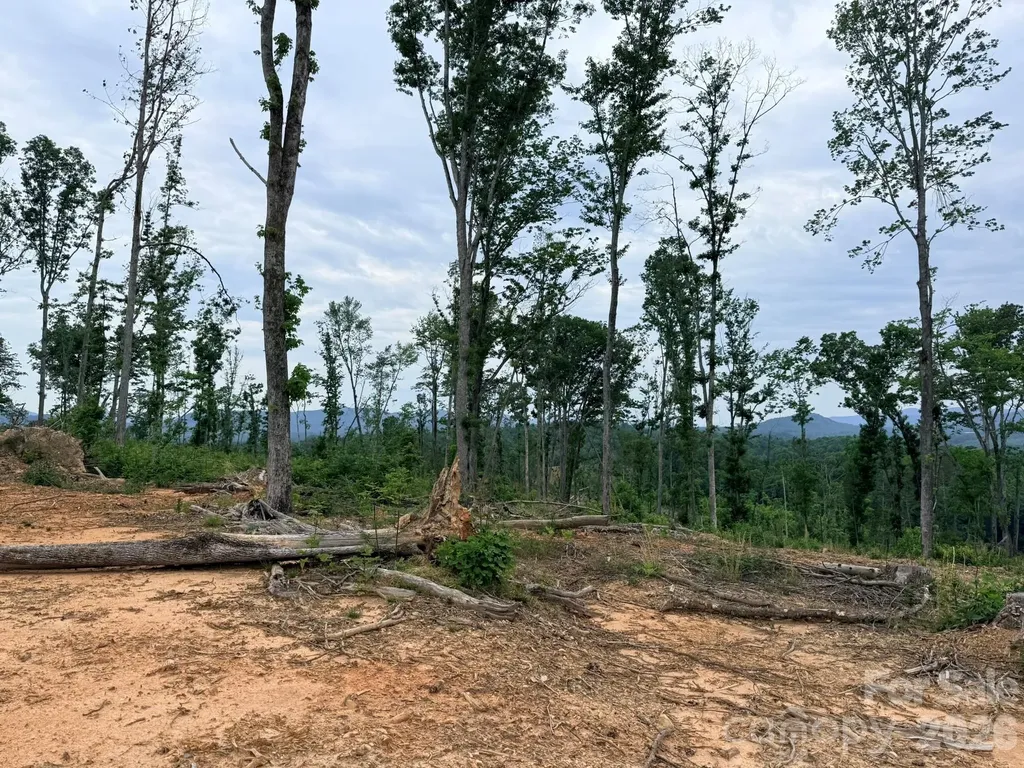 Tbd N Marley Ford Road Ferguson NC 28624