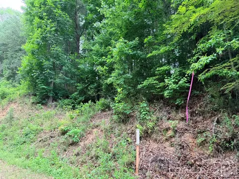 Tbd N Marley Ford Road Ferguson NC 28624
