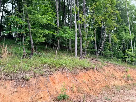 Tbd N Marley Ford Road Ferguson NC 28624