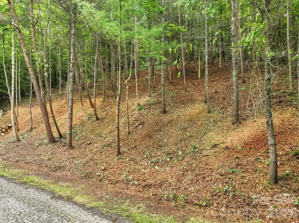 Lot 29 Hampton Lane Weaverville NC 28787