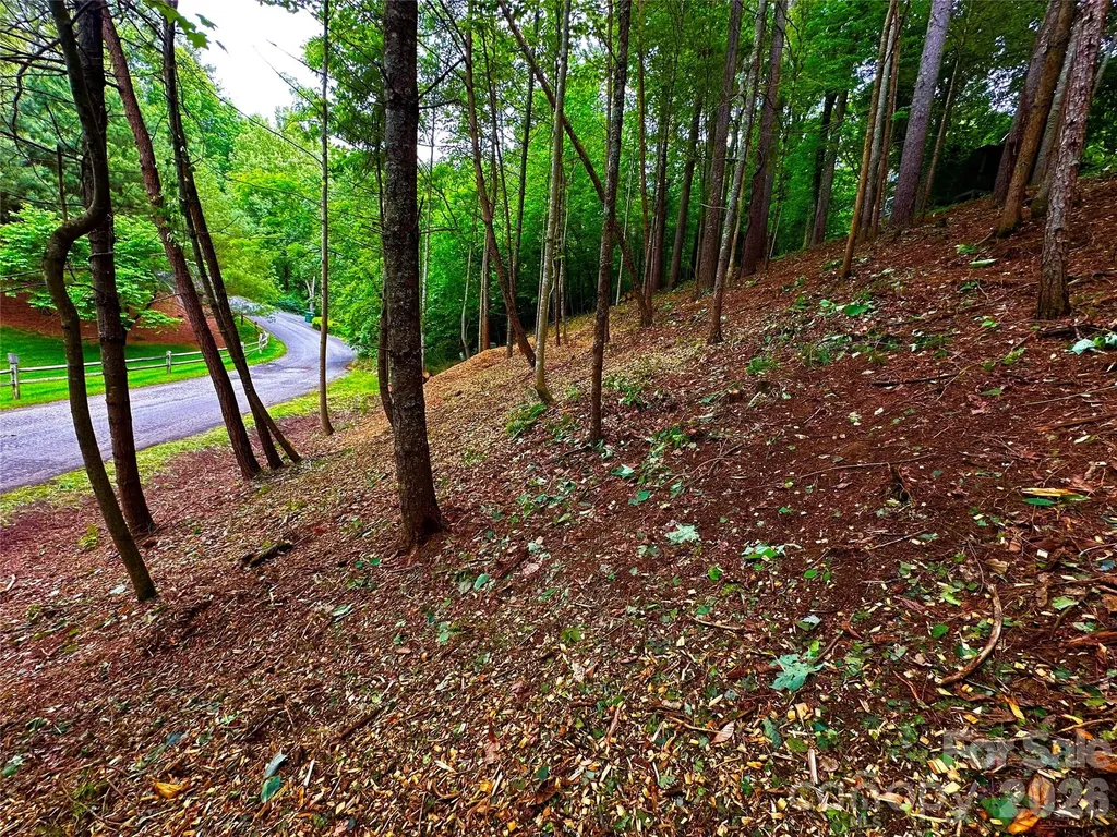 Lot 29 Hampton Lane Weaverville NC 28787