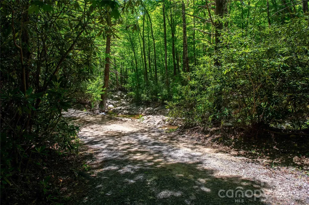 152 Middle Creek Cove Burnsville NC 28714