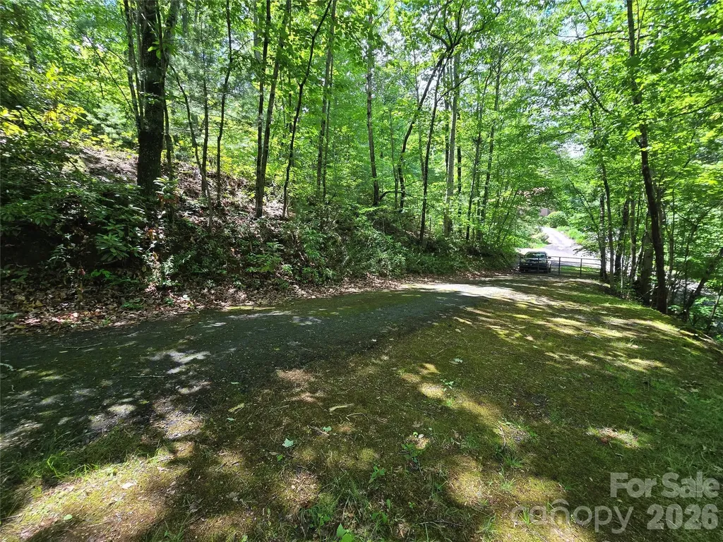 6 Rain Cloud Road Candler NC 28715