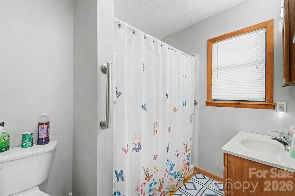 168 Grizzly Ridge Sylva NC 28779