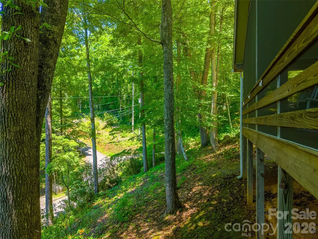 168 Grizzly Ridge Sylva NC 28779