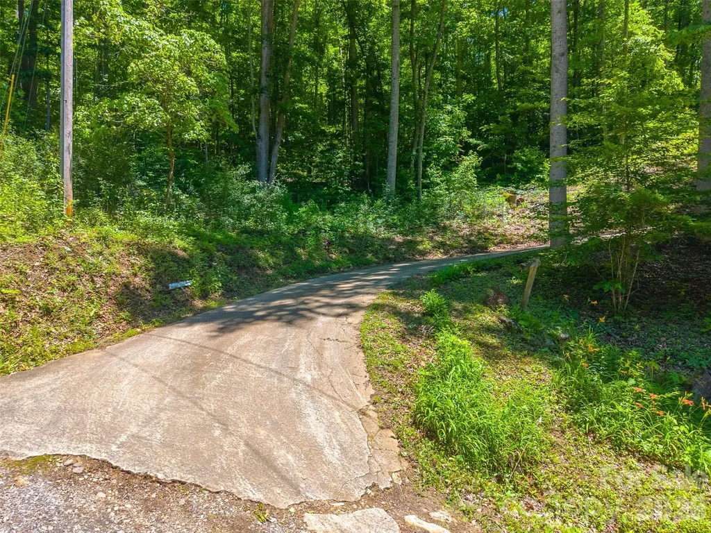 168 Grizzly Ridge Sylva NC 28779