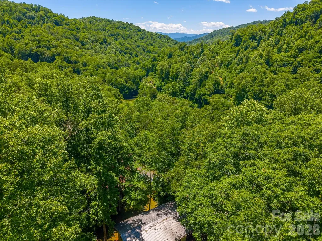 168 Grizzly Ridge Sylva NC 28779