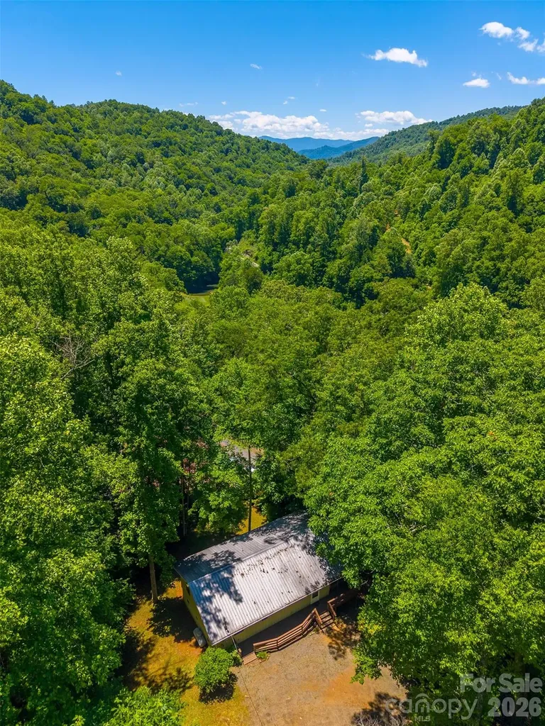168 Grizzly Ridge Sylva NC 28779