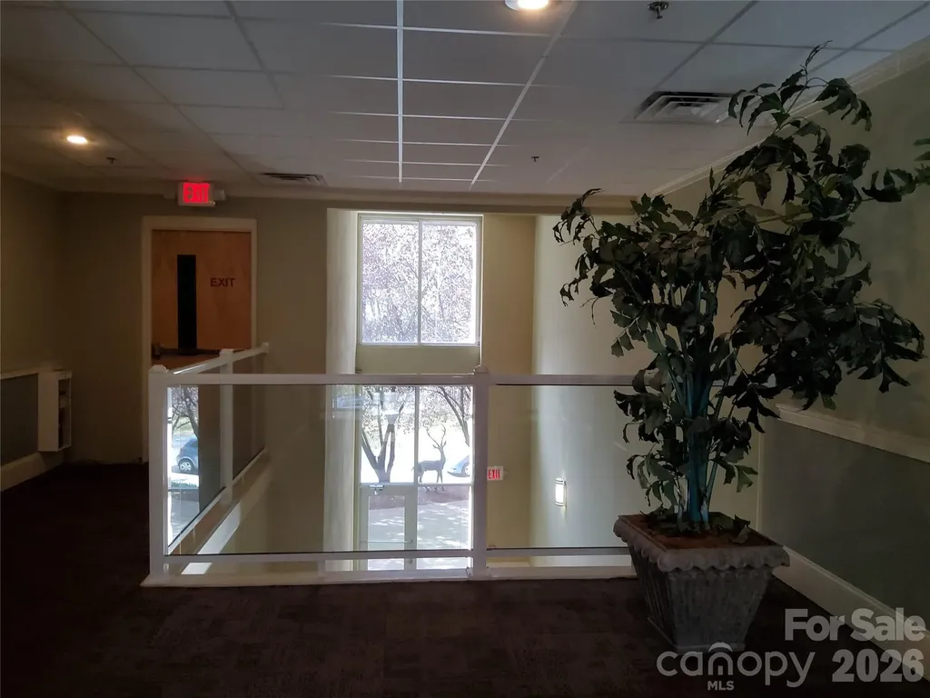 155 S Lexington Avenue Asheville NC 28801