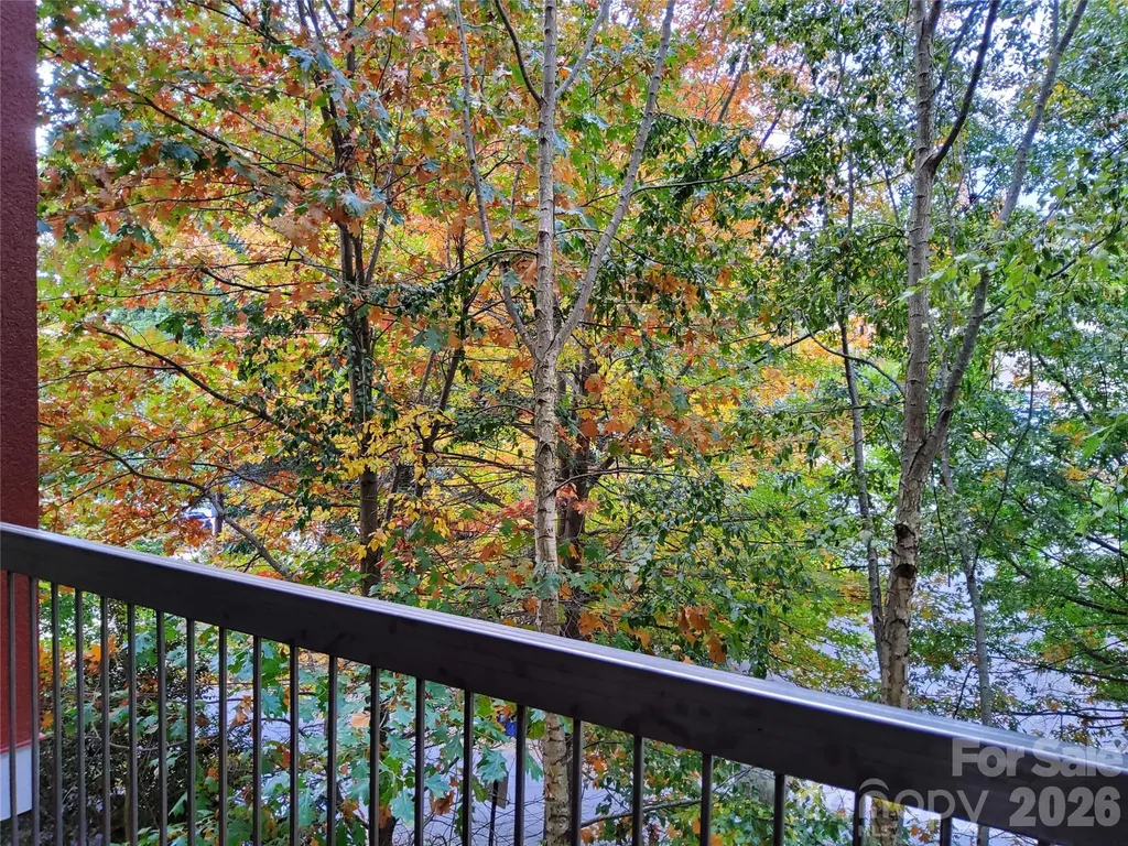 155 S Lexington Avenue Asheville NC 28801