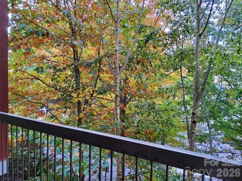 155 S Lexington Avenue Asheville NC 28801