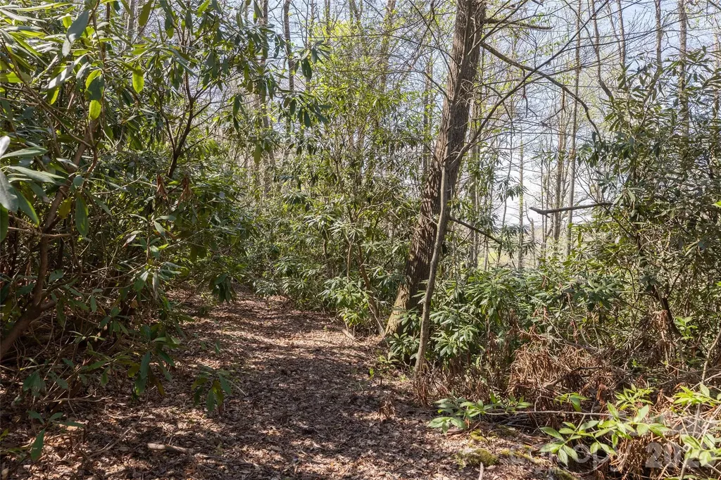 4419 Flat Mountain Road Highlands NC 28741