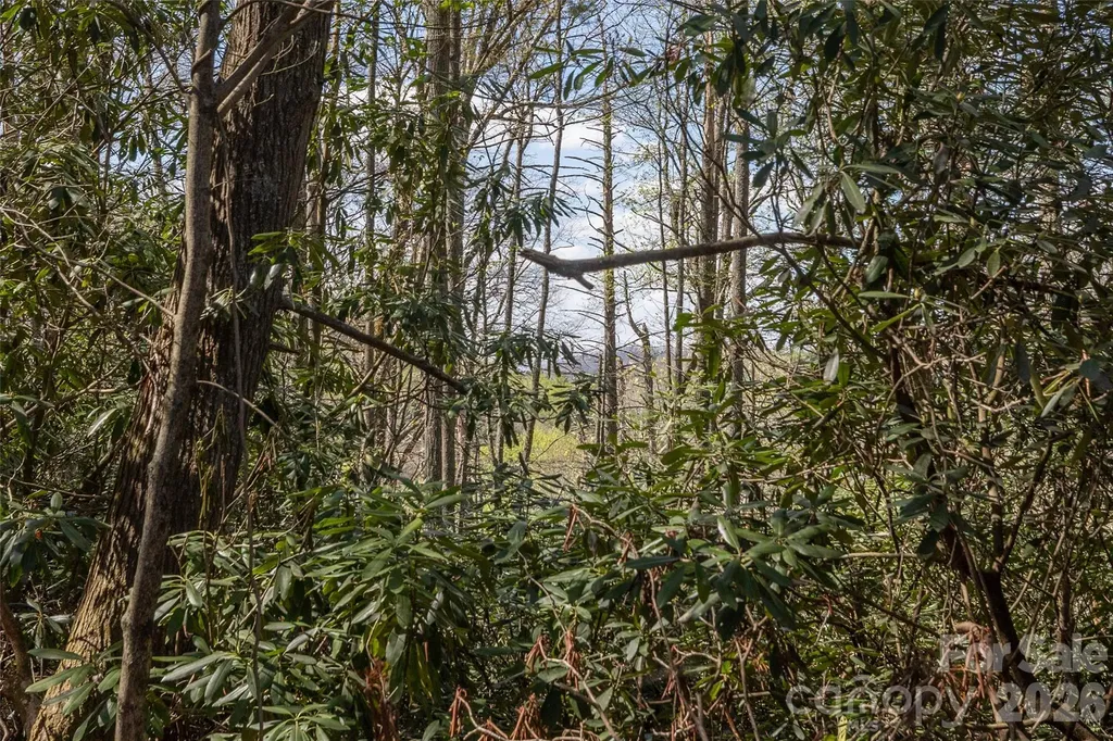 4419 Flat Mountain Road Highlands NC 28741