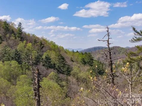 4419 Flat Mountain Road Highlands NC 28741