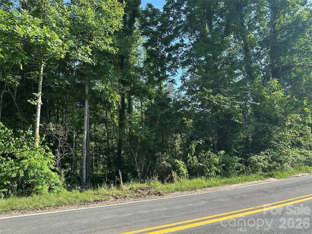 Off Drucilla Church Road Nebo NC 28761